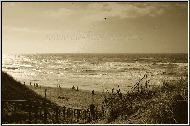 Egmond_fotoschule_33.jpg - Der Südstrand von Egmond aan Zee im Frühjahr, am Blechotto nachträglich sepiafarben coloriert.