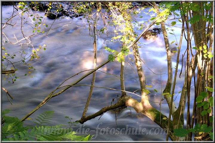 Fotoschule_Bach_lange_Zeit3.jpg - Langzeitbelichtung im Hönnetal zwischen Hemer und Balve und gleichzeitig das letzte Foto meiner Serie Best of  Teil 7. Per Klick rechts ins Bild oder rechter Pfeiltaste auf der Tastatur gehts direkt weiter zum Teil 8.