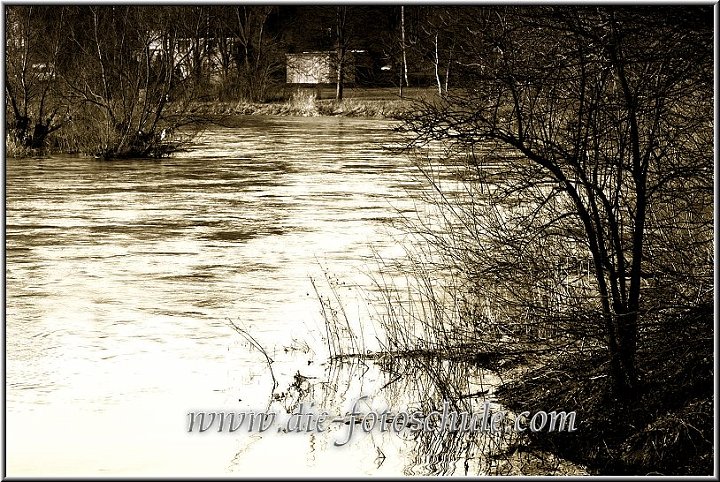 Ruhr_sw0001.jpg - In den Ruhrwiesen bei Schwerte