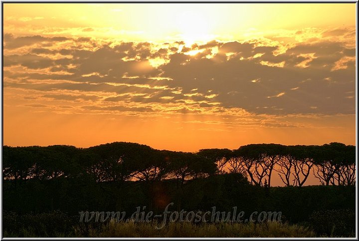 Sonnenuntergang_Cecina_1.jpg - Der Himmel über Marina di Cecina schimmert abends in wunderbaren Farben und jedes Mal wenn die Sonne der Nacht weicht, kannst Du ein farbenfohes Schauspiel beobachten.Das Meer schimmert wunderbar ruhig und die nachfolgende Blaue Stunde stellt das “Sonnenuntergangs-Erlebnis” oft noch in den Schatten.Minolta Dynax 5D mit Antishake aus der Hand (!)