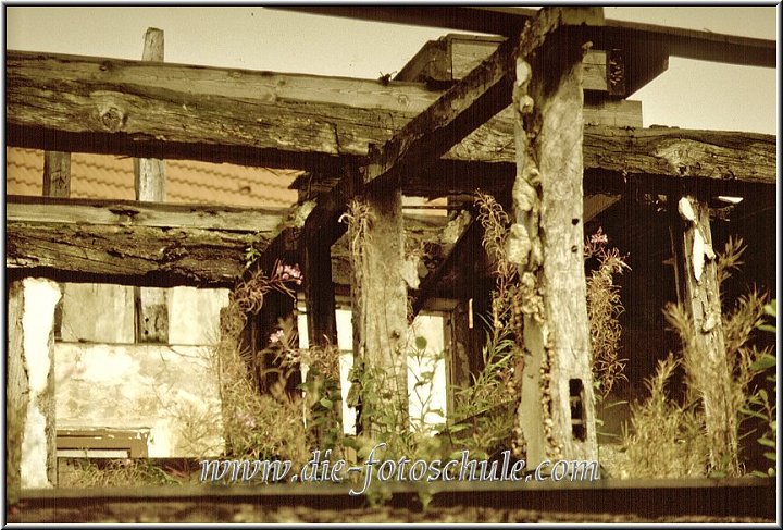 balkenhaus2.jpg - In einer Ruine in Dortmund