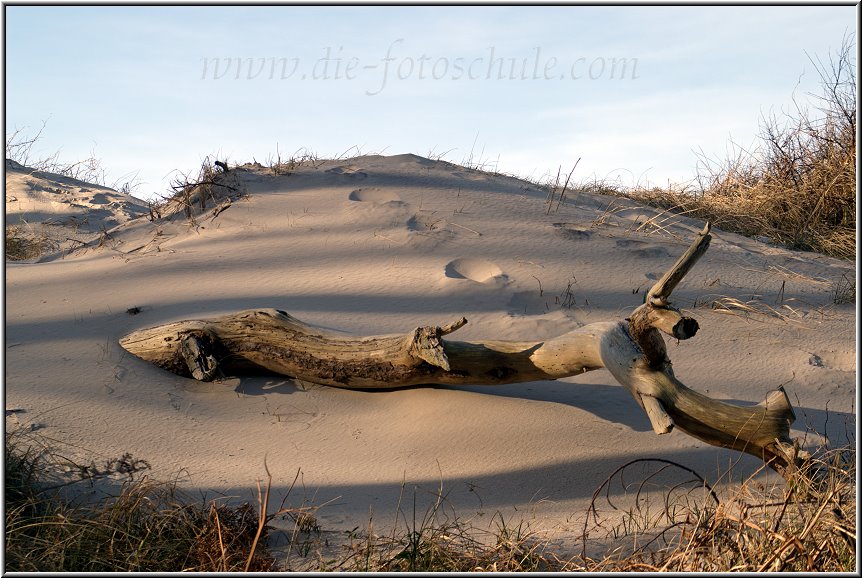 Darss_Weststrand_Ostsee29_Die_Fotoschule