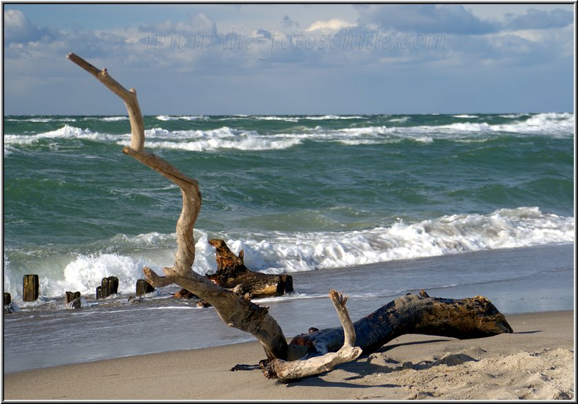 Darss_Weststrand_Ostsee41_Die_Fotoschule