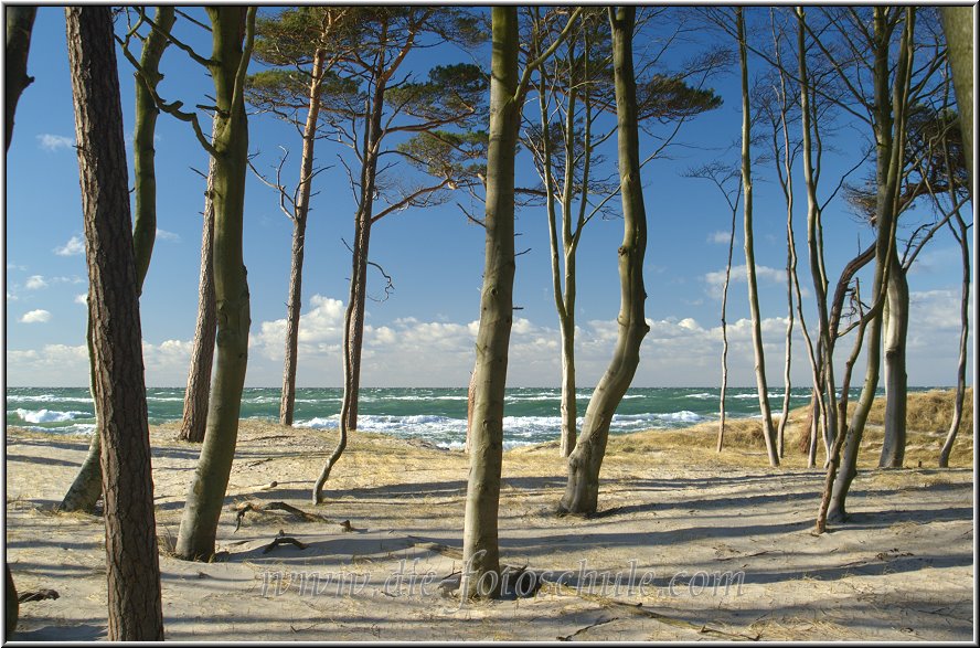 Darss_Weststrand_Ostsee53_Die_Fotoschule