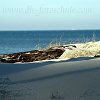 Darss_Weststrand_Ostsee24_Die_Fotoschule