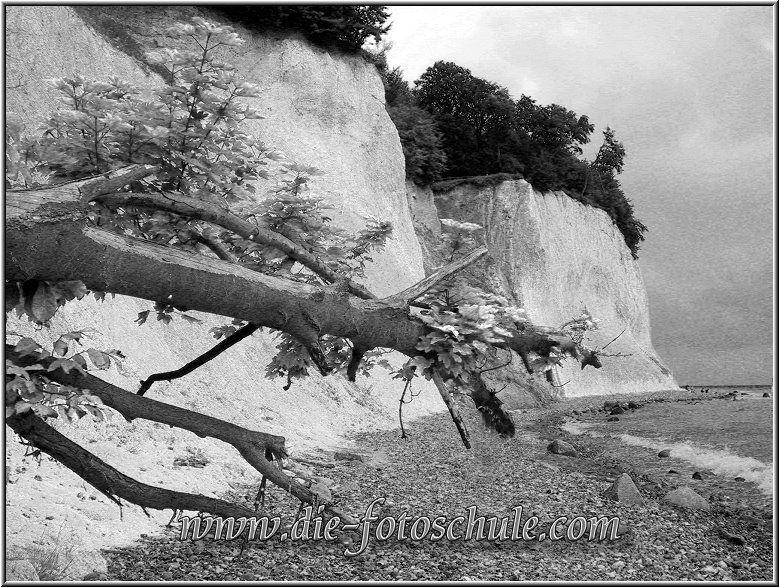 Kreidefelsen bei Sassnitz