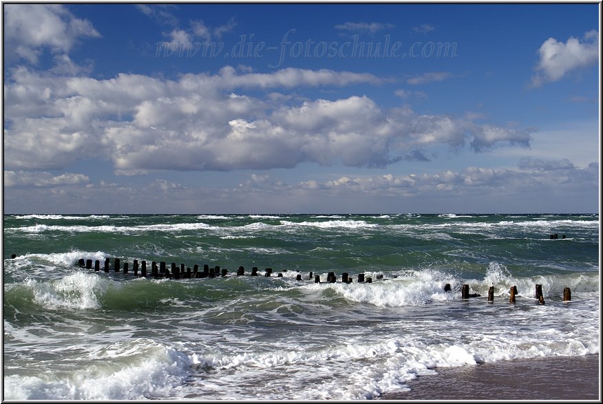 am urwchsigen Weststrand bei Prerow an der deutschen Ostseekste