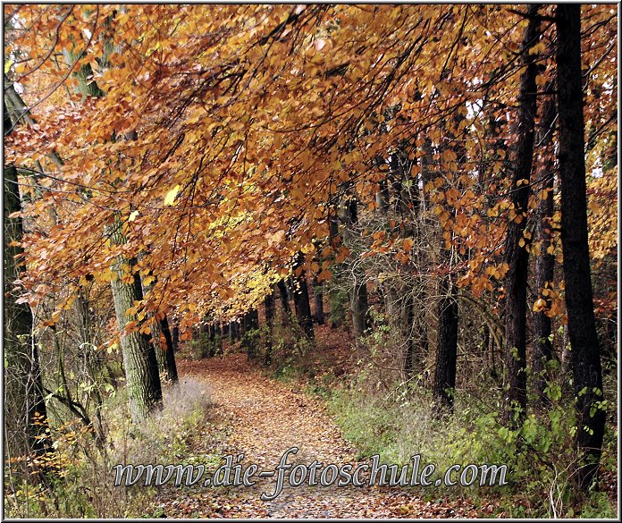 Der Herbst hlt viele schne Motive bereit