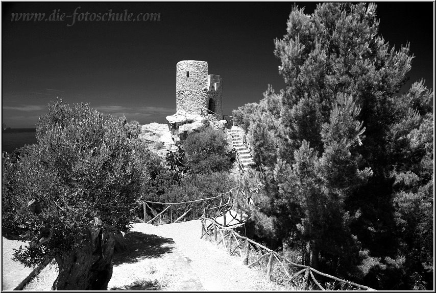 Fotoschule_Mallorca_042bl