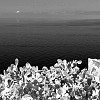 Fotoschule_Mallorca_041a