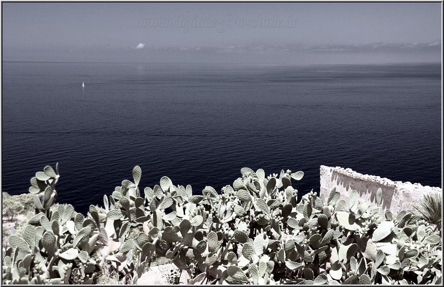 Fotoschule_Mallorca_041