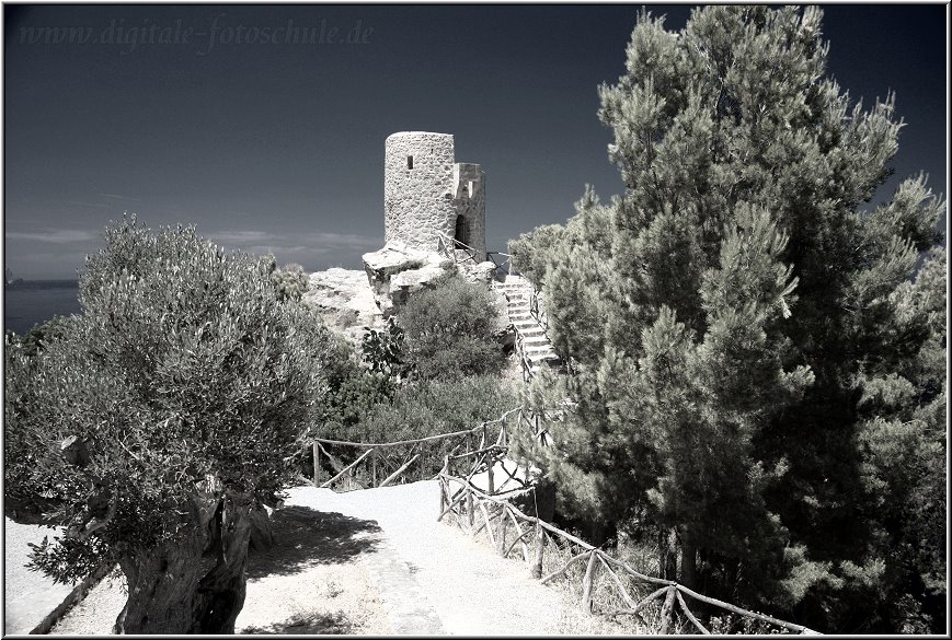 Fotoschule_Mallorca_042