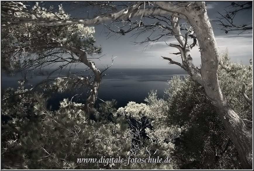 Fotoschule_Mallorca_047b