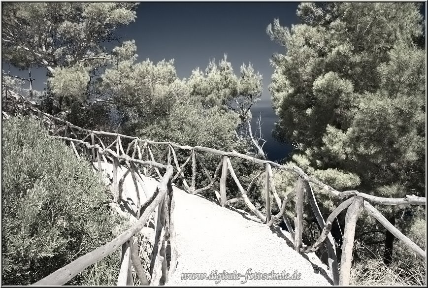 Fotoschule_Mallorca_048a