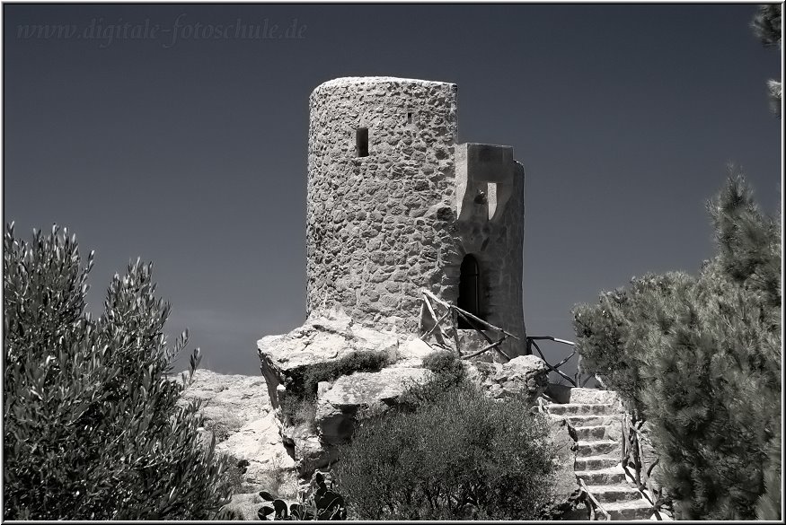 Fotoschule_Mallorca_049a