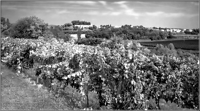 Castelnuovo_003_sw