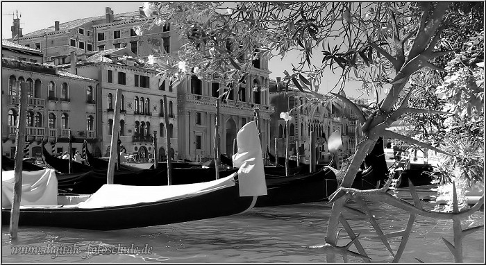 Venedig_Ralfonso_029_sw