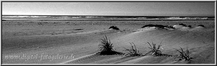 Meer_sw2.jpg - Dünen an der Nordsee