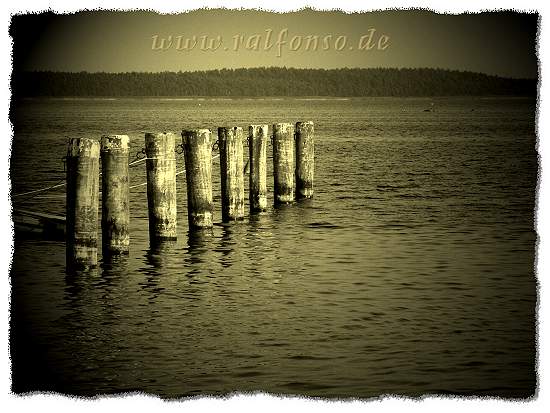 r31.jpg - Boddenromantik auf Rügen bei Breege