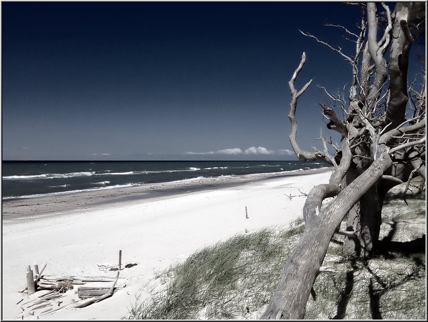 Weststrand_2012_001