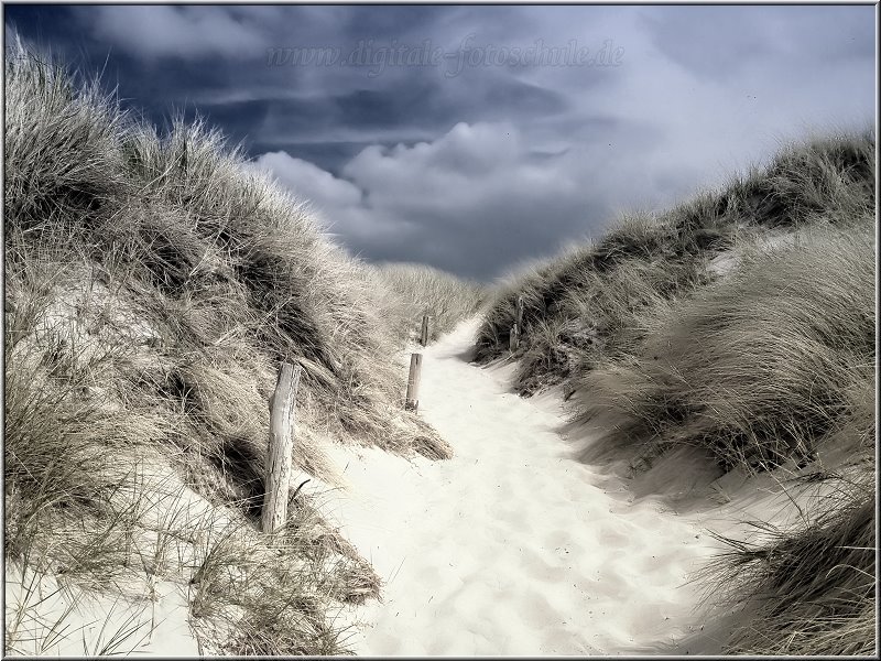 Weststrand_2012_002