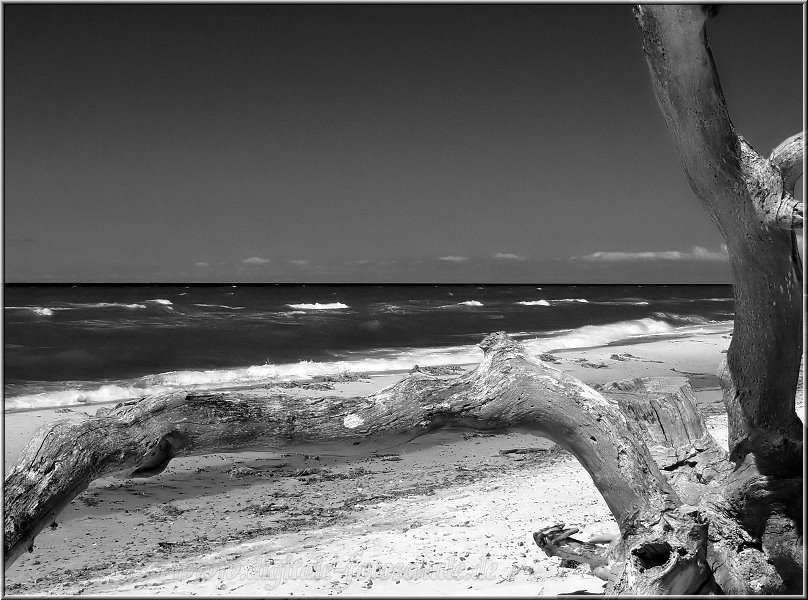 Weststrand_2012_015_sw