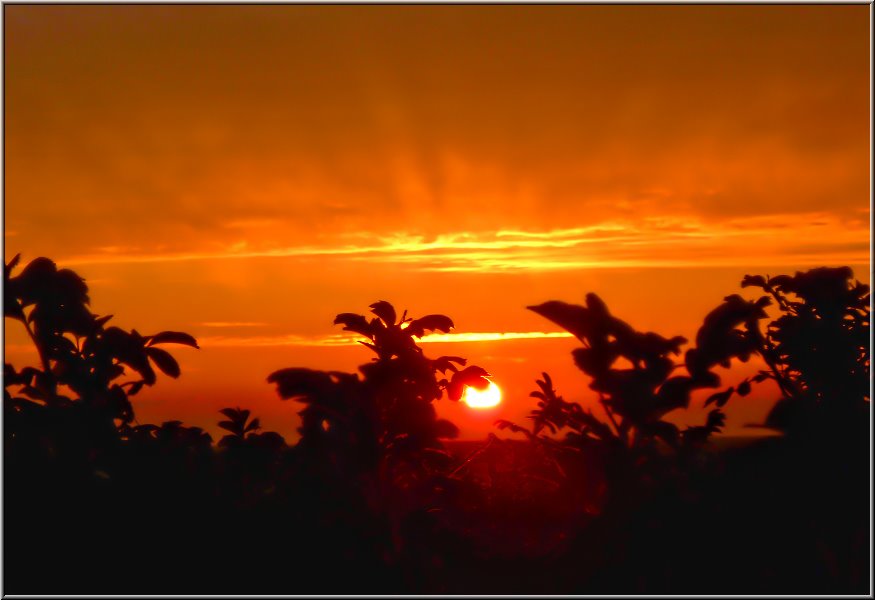 zingst_sonnenuntergang_001